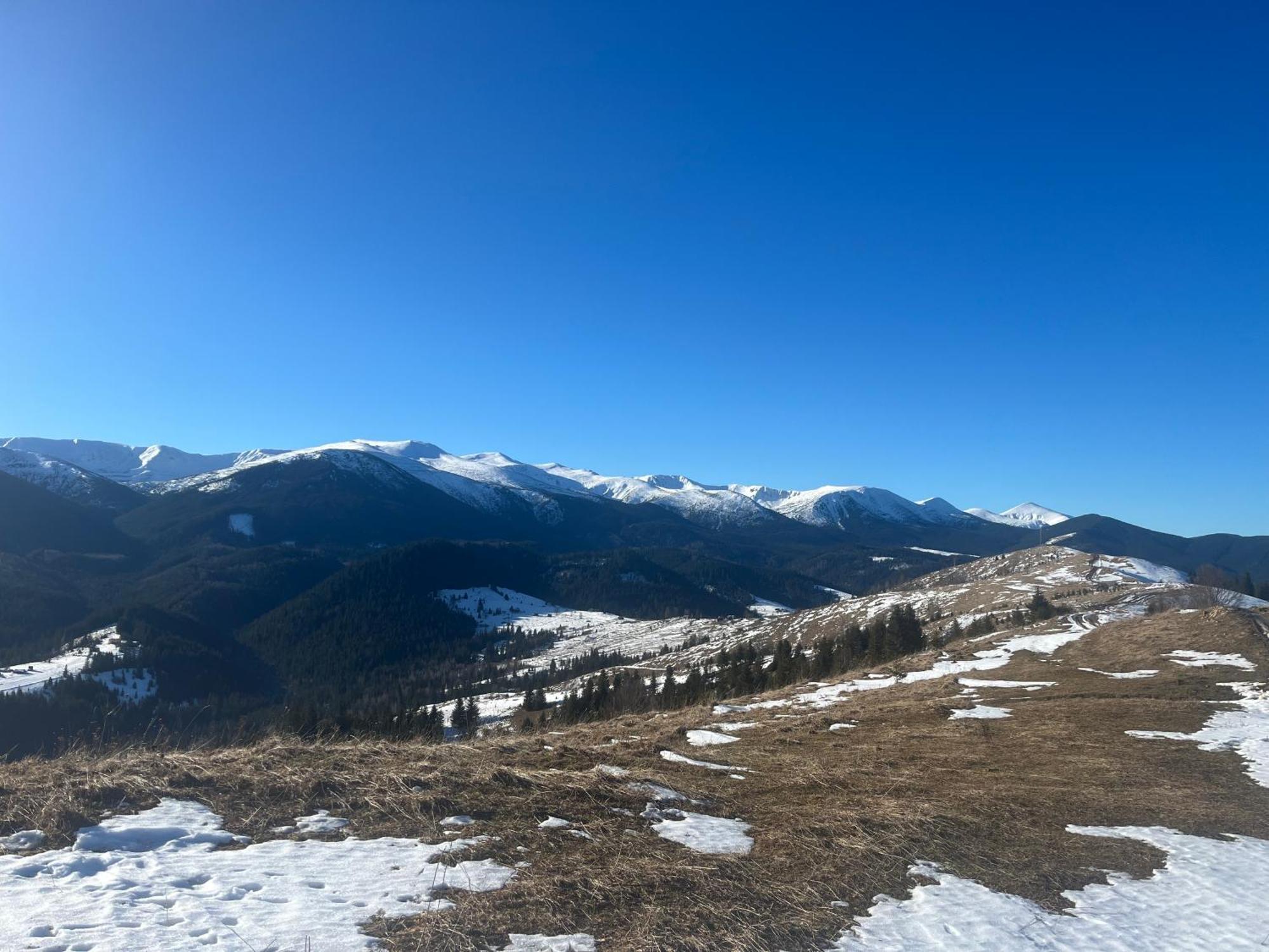 Котедж "Барвінок" Verkhovyna Bagian luar foto