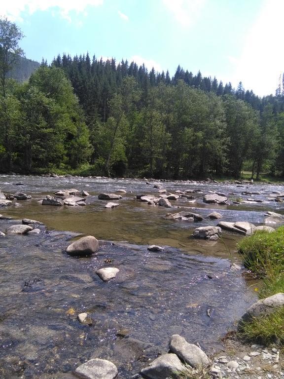 Котедж "Барвінок" Verkhovyna Bagian luar foto