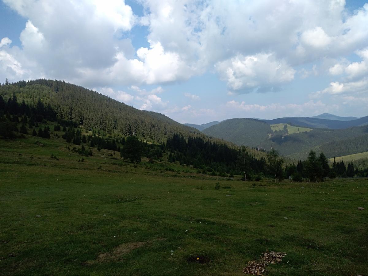 Котедж "Барвінок" Verkhovyna Bagian luar foto