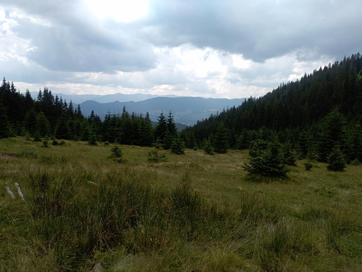 Котедж "Барвінок" Verkhovyna Bagian luar foto